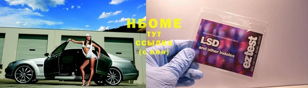 винт Алзамай