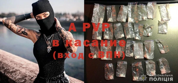 винт Алзамай