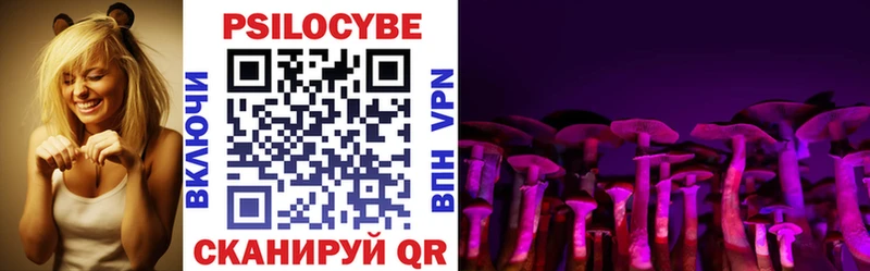 Галлюциногенные грибы Cubensis  Новоузенск 